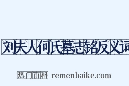 刘夫人何氏墓志铭反义词是什么意思的图片